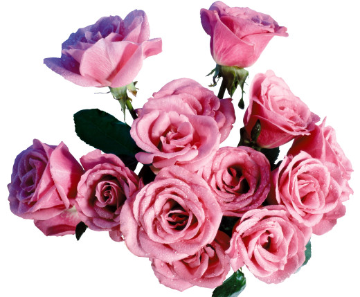 613674 (a): :2000x1650